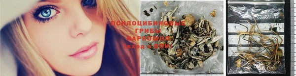 мяу мяу мука Баксан