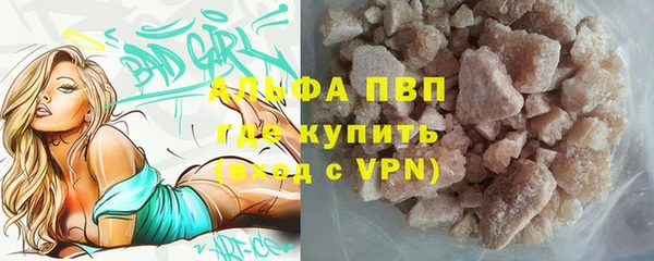 мяу мяу мука Баксан