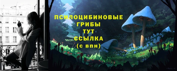 мяу мяу мука Баксан