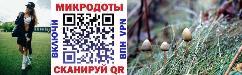 Галлюциногенные грибы Magic Shrooms  Томмот 